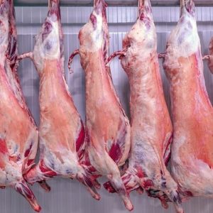 Frozen Whole Beef Carcass – Premium Quality