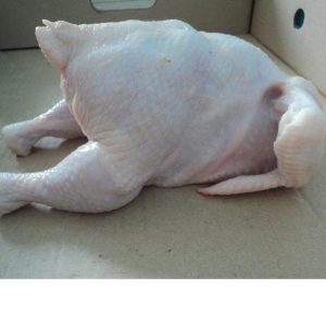 Pavita Argentina – Premium Frozen Whole Turkey