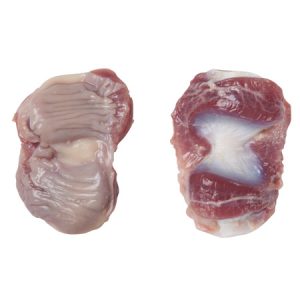 Frozen Chicken Gizzards – Premium Quality | UK Export Supply