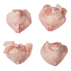 Frozen Chicken Tails – Premium Quality